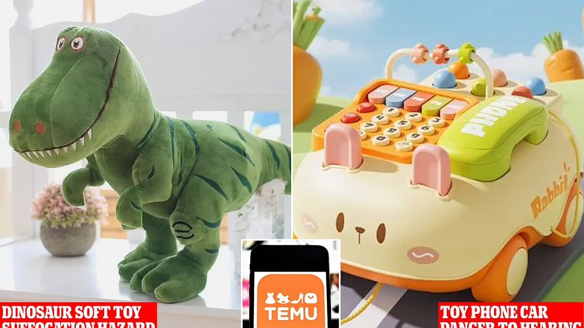 Temuでお得におもちゃを購入する方法